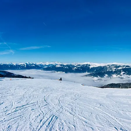 Alpenapartment In Traumlage Appartement